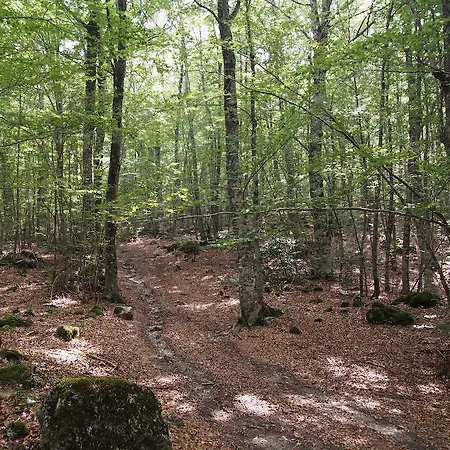 B&B Il Belvedere 치비타