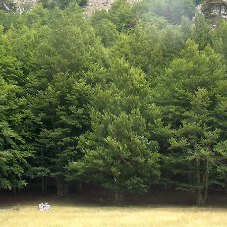 B&B Il Belvedere
