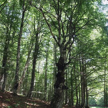 Bed & Breakfast Il Belvedere