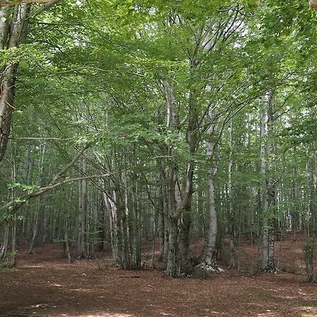 Il Belvedere