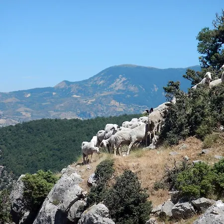 Il Belvedere 4* Civita