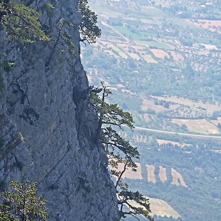Il Belvedere