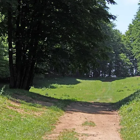 Il Belvedere Nocleg ze śniadaniem Civita