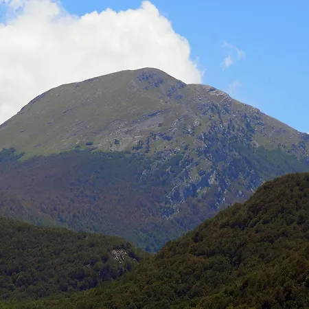 Il Belvedere