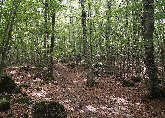 Oda ve Kahvaltı Il Belvedere Civita