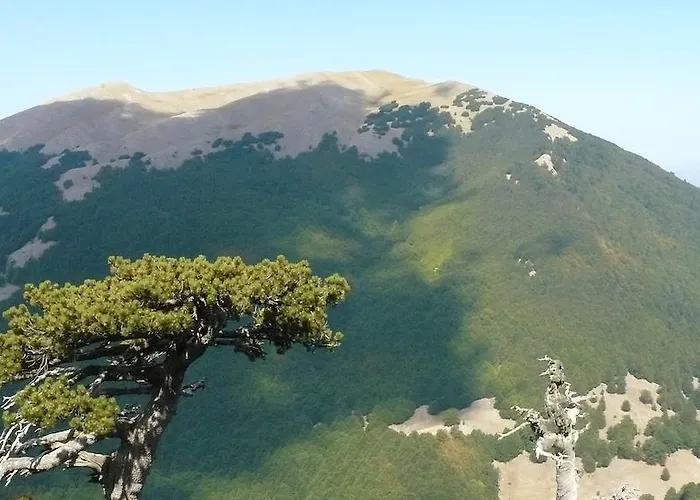 Oda ve Kahvaltı Il Belvedere Civita