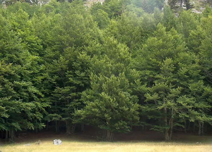 Oda ve Kahvaltı Il Belvedere